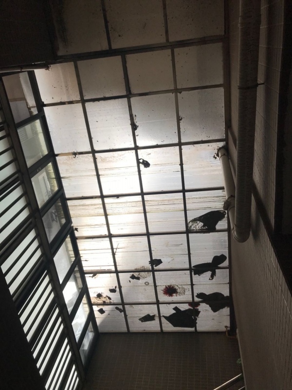阳光板停车棚车棚不易清洗.jpg