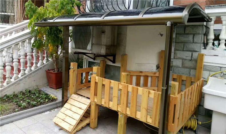 新颖时尚的宠物雨棚