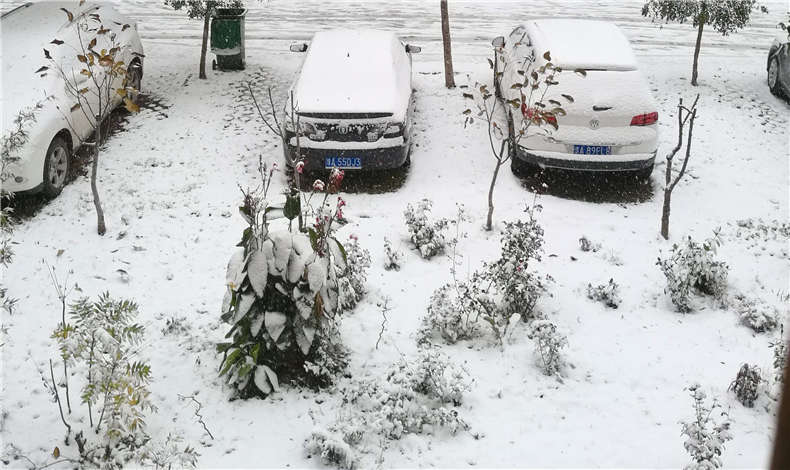 苏浙沪8省暴雪预警，香港六宝典最新版开奖用户请注意